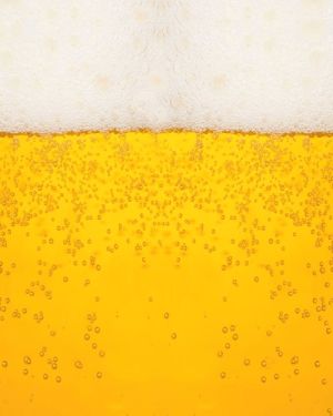 Beer 5