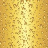 Beer-6.jpg