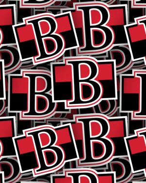 Belleville Senators