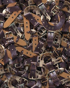 Belts and Buckles