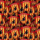 Benevento-Calcio.jpg