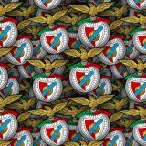 Benfica.jpg