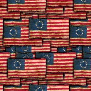 Betsy Ross Flag 22