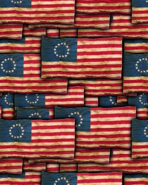 Betsy Ross Flag 22