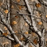 BigGame-Field-Camo.jpg