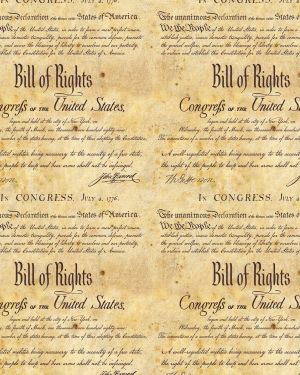 Bill of Rights