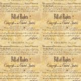 Bill-of-Rights.jpg