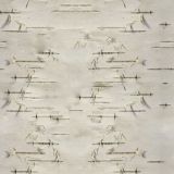 Birch-Bark-22.jpg