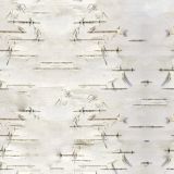 Birch-Bark-23.jpg