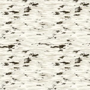 Birch Bark 31