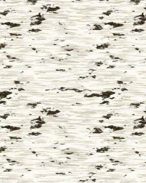 Birch Bark 31