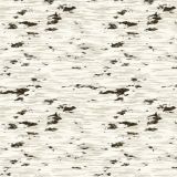 Birch-Bark-31.jpg