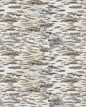 Birch Bark 32