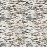 Birch-Bark-32.jpg
