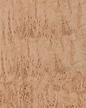 Birch Burl