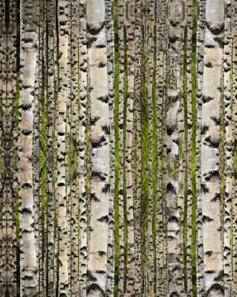 Birch Disruptive Camouflage