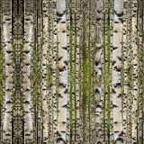 Birch-Disruptive-Camo.jpg