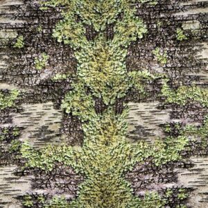 Birch Lichen Camouflage