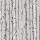 Birch-Trees-77.jpg