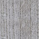 Birches-Snow-Camo.jpg