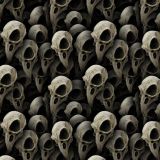 Bird-Skulls-22.jpg