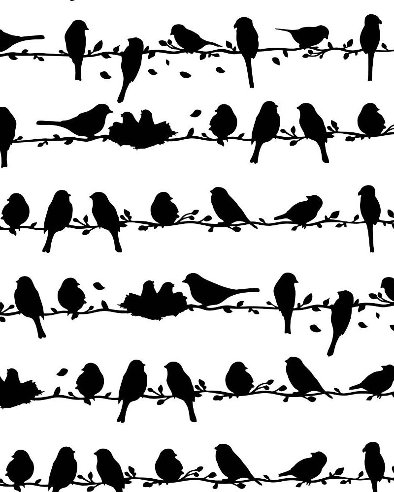 Birds on a Wire 22
