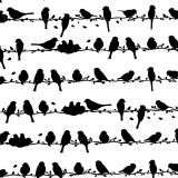 Birds-on-a-Wire-22.jpg
