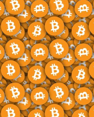 Bitcoin 23