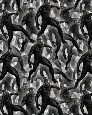 Black Panther 24