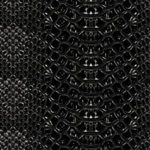 Black Snake Skin