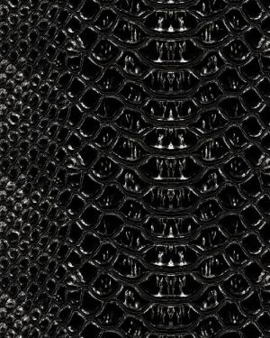 Black Snake Skin