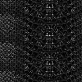 Black-Snake-Skin.jpg