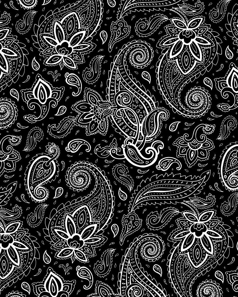 Black White Paisley