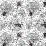 Black-Widow-23.jpg