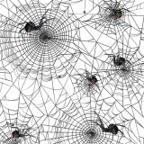 Black-Widow-24-e1711033664911.jpg