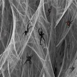 Black-Widow-25.jpg