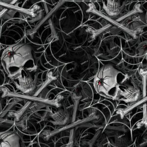 Black Widow Skulls 23