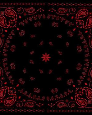Black & Red Bandanna