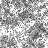 Black-and-White-22-Camo.jpg
