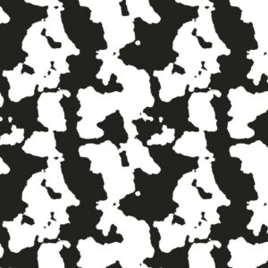 Black and White Cow Hide 22