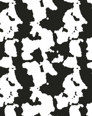 Black and White Cow Hide 22