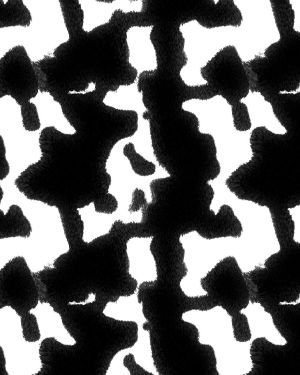 Black and White Cow Hide 23
