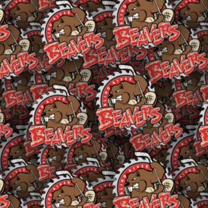 Blind River Beavers