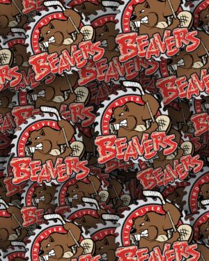 Blind River Beavers