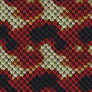 Blood Snake 22