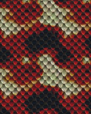 Blood Snake 22