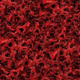 Blood-Spatter-32-thumb-1.jpg