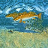 Blue-Background-Redfish.jpg