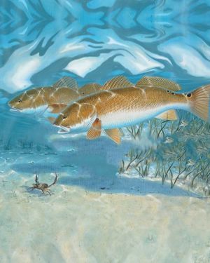 Blue Fish 2016 17×14
