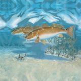 Blue-Fish-2016-17x14-1.jpg